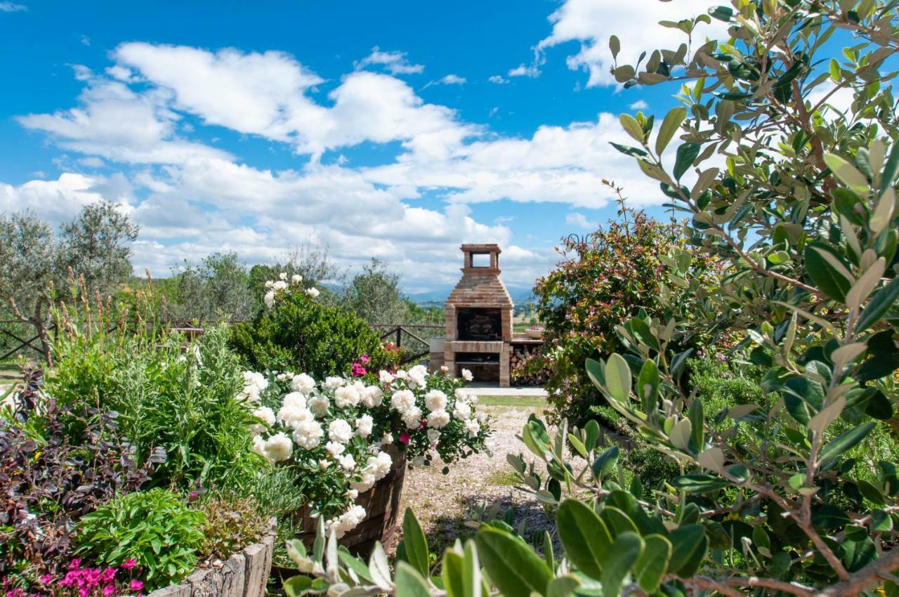 Agriturismo Molino Verde Montecchio  Exterior photo